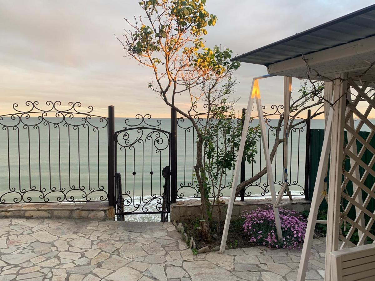 Guest House Dacha Nova Dofinivka 외부 사진